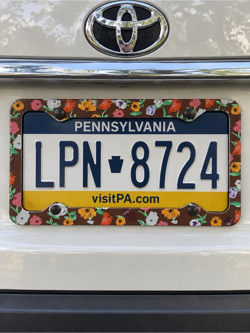 Acoustic Piano Set Floral License Plate Frame